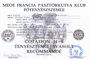 DemoLeon Beau Garcon Dokumentumok