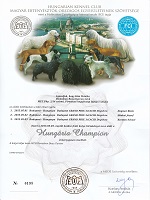 DemoLeon Beau Garcon Eredmények