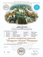 DemoLeon Beau Garcon Eredmények