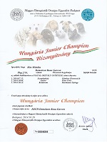 DemoLeon Beau Garcon Eredmények