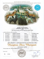 DemoLeon Beau Garcon Eredmények