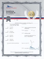 DemoLeon Beau Garcon Eredmények