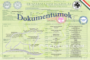 DemoLeon Beau Garcon Dokumentumok