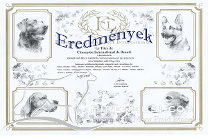 DemoLeon Beau Garcon Eredmények