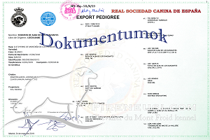 Foraton de Alba de los Danzantes Dokumentumok