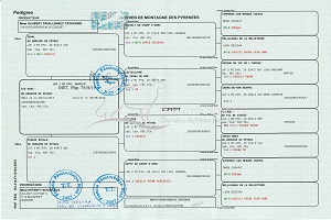 Ice King du Domaine de Peyrac Dokumentumok