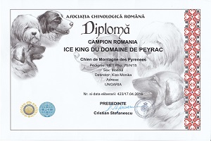Ice King du Domaine de Peyrac Eredmények