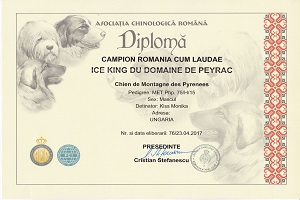 Ice King du Domaine de Peyrac Eredmények