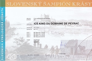 Ice King du Domaine de Peyrac Eredmények