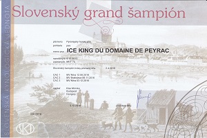 Ice King du Domaine de Peyrac Eredmények