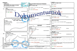 Ice King du Domaine de Peyrac Dokumentumok