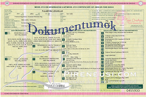 Naarvik Legolas Dokumentumok