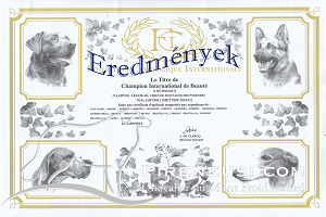 Naarvik Legolas Eredmények